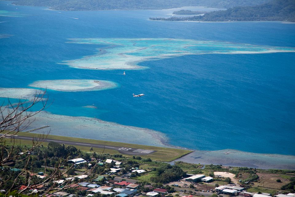 3L9A6542.jpg Le mont Tapioi - Raiatea - Copyright : See Otherwise 2012 - 2024