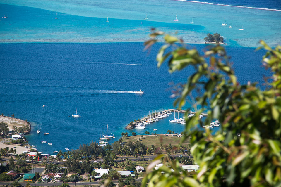 3L9A6580.jpg Le mont Tapioi - Raiatea - Copyright : See Otherwise 2012 - 2024