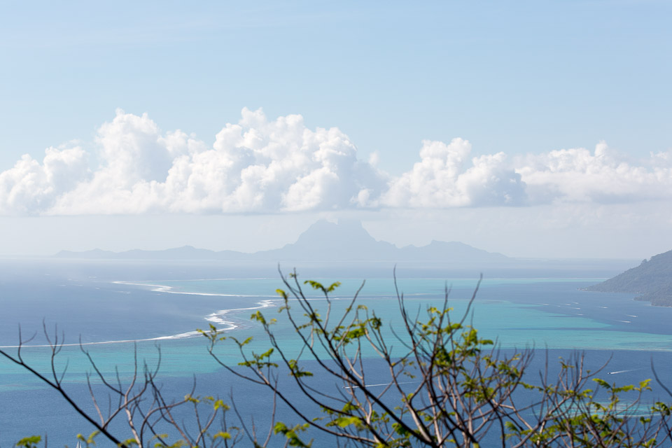 3L9A6584.jpg Le mont Tapioi - Raiatea - Copyright : See Otherwise 2012 - 2024