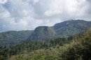 Le mont Tapioi - Raiatea - Copyright : See Otherwise 2012 - 2024