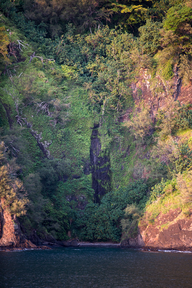 3L9A3150.jpg Les Marquises - Fatu Hiva - Copyright : See Otherwise 2012 - 2024