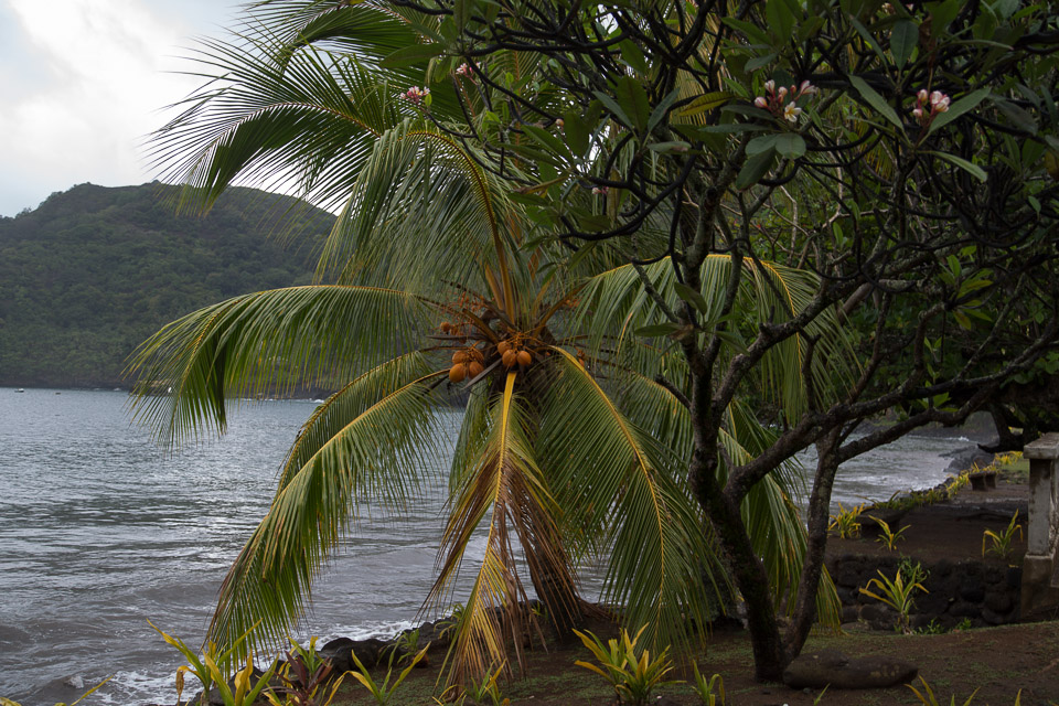 3L9A2393.jpg Les Marquises - Nuku Hiva - Copyright : See Otherwise 2012 - 2024