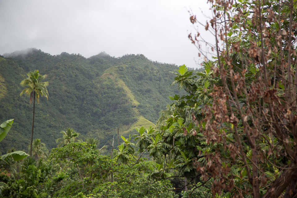 3L9A2395.jpg Les Marquises - Nuku Hiva - Copyright : See Otherwise 2012 - 2024