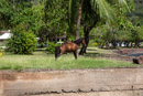Les Marquises - Nuku Hiva - Copyright : See Otherwise 2012 - 2026