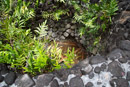 Musee Gauguin - Hiva Oa - Copyright : See Otherwise 2012 - 2025
