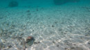 Sous l eau - Huahine - Copyright : See Otherwise 2012 - 2025