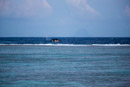 Sous l eau - Maupiti - Copyright : See Otherwise 2012 - 2026