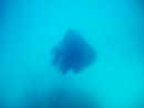 Sous l eau - Maupiti - Copyright : See Otherwise 2012 - 2026