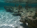 Sous l eau - Maupiti - Copyright : See Otherwise 2012 - 2026