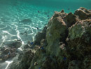 Sous l eau - Maupiti - Copyright : See Otherwise 2012 - 2026