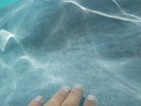 Sous l eau - Moorea - Copyright : See Otherwise 2012 - 2026