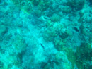 Sous l eau - Tikehau - Copyright : See Otherwise 2012 - 2026