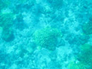 Sous l eau - Tikehau - Copyright : See Otherwise 2012 - 2026