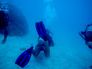 Sous l eau - Tikehau - Copyright : See Otherwise 2012 - 2025
