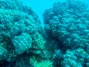 Sous l eau - Tikehau - Copyright : See Otherwise 2012 - 2026