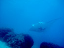 Sous l eau - Tikehau - Copyright : See Otherwise 2012 - 2025