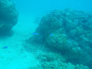 Sous l eau - Tikehau - Copyright : See Otherwise 2012 - 2026