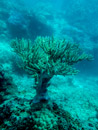 Sous l eau - Tikehau - Copyright : See Otherwise 2012 - 2026