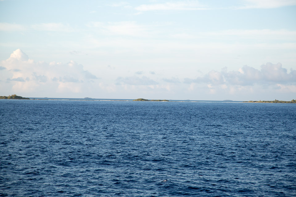 3L9A1814.jpg Tuamotu - Fakarava - Copyright : See Otherwise 2012 - 2024