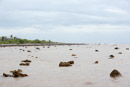 Tuamotu - Manihi - Copyright : See Otherwise 2012 - 2026