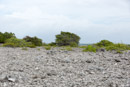 Tuamotu - Manihi - Copyright : See Otherwise 2012 - 2026