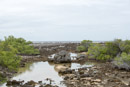 Tuamotu - Manihi - Copyright : See Otherwise 2012 - 2026