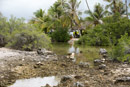 Tuamotu - Manihi - Copyright : See Otherwise 2012 - 2026