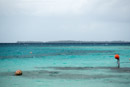 Tuamotu - Manihi - Copyright : See Otherwise 2012 - 2024