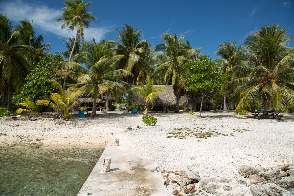 3L9A9397.jpg Tuamotu - Rangiroa - Copyright : See Otherwise 2012 - 2024