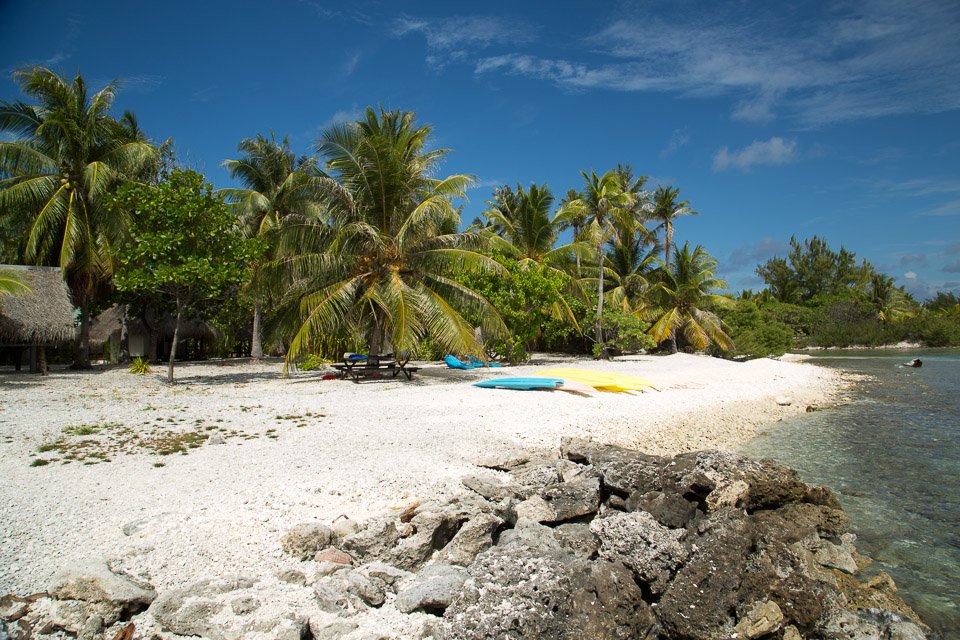 3L9A9398.jpg Tuamotu - Rangiroa - Copyright : See Otherwise 2012 - 2024