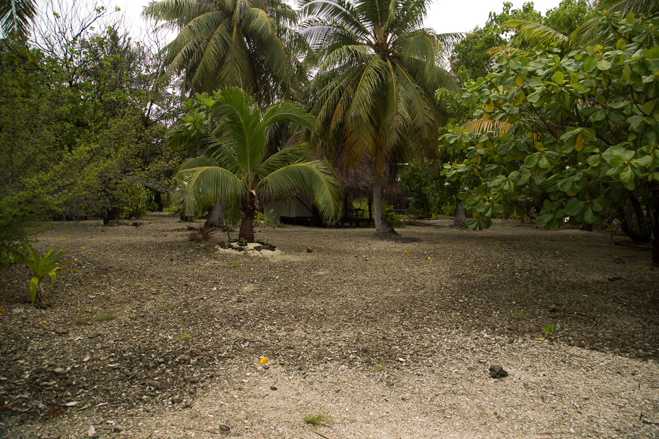 3L9A9431.jpg Tuamotu - Rangiroa - Copyright : See Otherwise 2012 - 2024