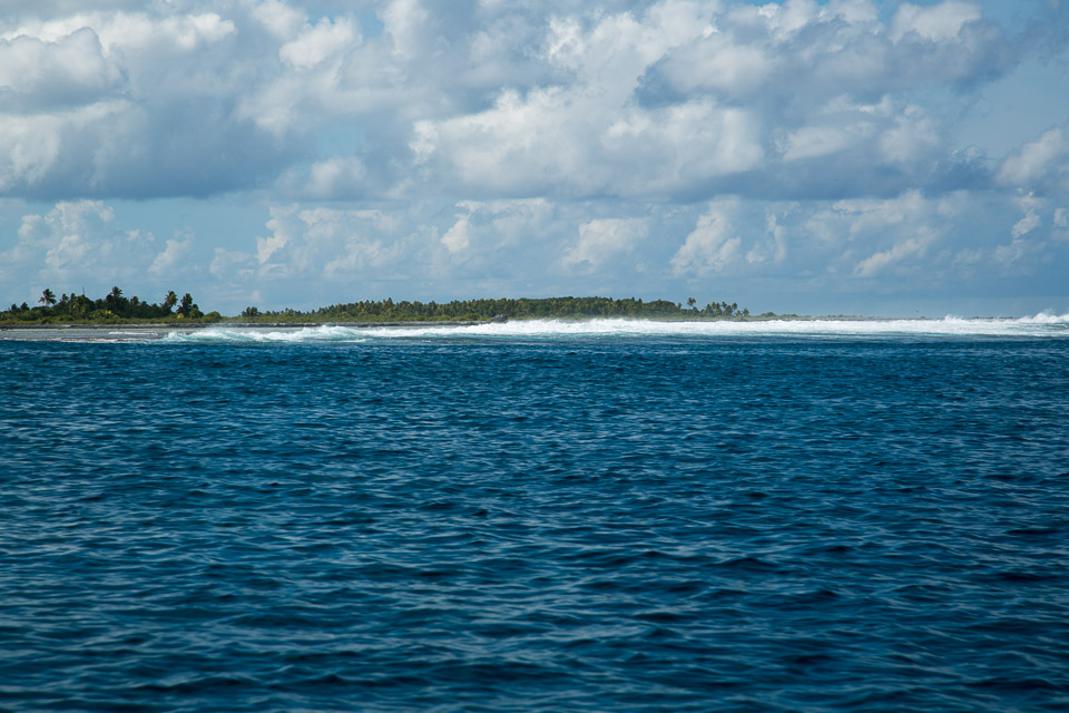 3L9A9133.jpg Tuamotu - Tikehau - Copyright : See Otherwise 2012 - 2024