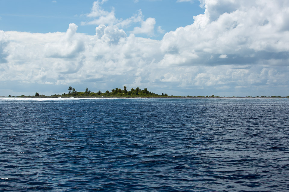 3L9A9155.jpg Tuamotu - Tikehau - Copyright : See Otherwise 2012 - 2024