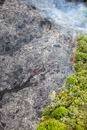 3L9A0372.jpg Vol en helico - Copyright : See Otherwise 2012 - 2025