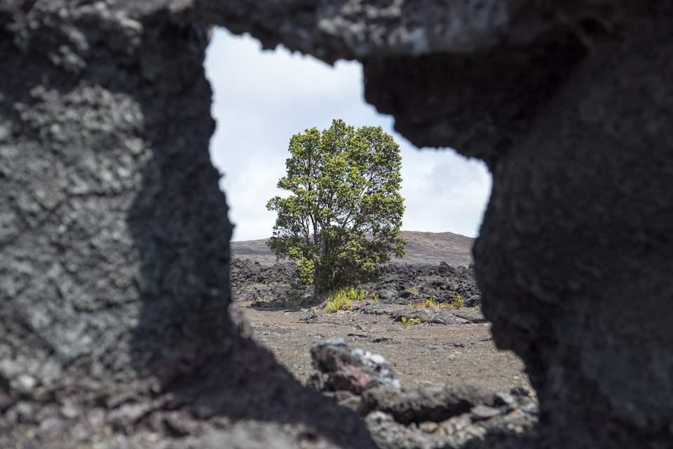 3L9A9417.jpg Volcan Kilauea - Copyright : See Otherwise 2012 - 2024