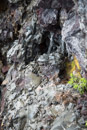 Volcan Kilauea - Copyright : See Otherwise 2012 - 2026