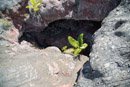 Volcan Kilauea - Copyright : See Otherwise 2012 - 2024