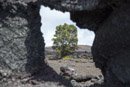 Volcan Kilauea - Copyright : See Otherwise 2012 - 2024