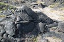 Volcan Kilauea - Copyright : See Otherwise 2012 - 2024