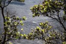 Volcan Kilauea - Copyright : See Otherwise 2012 - 2024