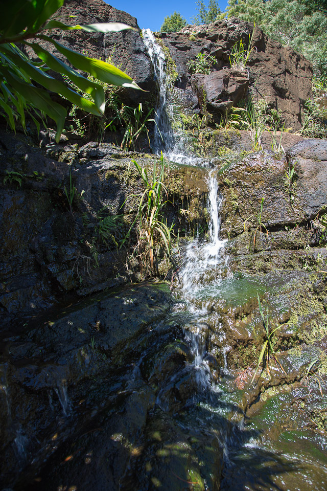 3L9A8386.jpg Waimea canyon - Copyright : See Otherwise 2012 - 2024