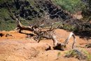 Waimea canyon - Copyright : See Otherwise 2012 - 2024